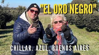 🟡El ORO NEGRO BAJO TIERRA: Así Se Cosecha la Misteriosa TRUFA - La Esperanza. Chillar. Buenos Aires