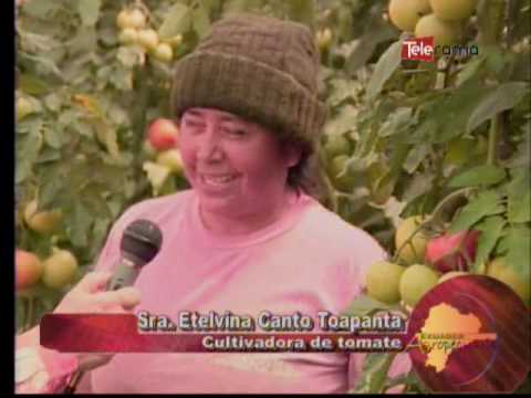 Ecuador Agropecuario 05-09-2016