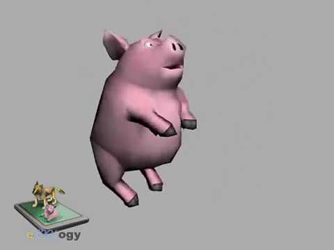 The 3d dancing pig