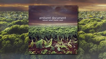 Sobanski Music Laboratory / Ambient Document / Document No.III Unrestricted / Ambient Jazz