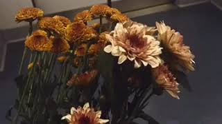 Dont Be A Fool Shawn Mendes Cover