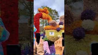 Flower Parade part3 #ytshorts #netherlands #tulipseason #flowerparade #viral shorts