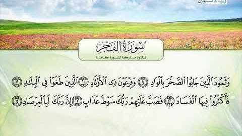 سورة الفجر ـــ محمود المالكى