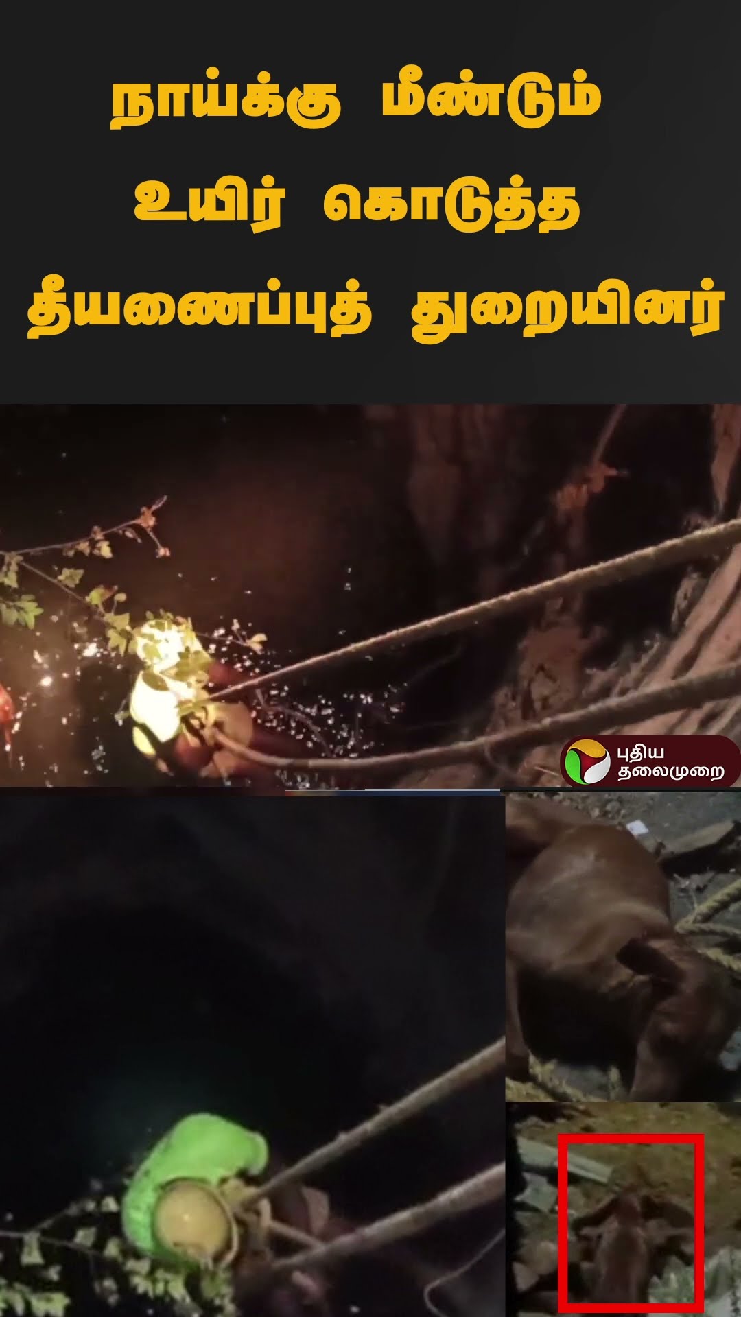 நாய்க்கு மீண்டும் உயிர் கொடுத்த தீயணைப்புத் துறையினர் | #shorts | #namakkal | #dogrescue