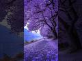 Most places in the world 🌍 mystery#explore#advanture#nature#travel#mystery