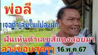 พ่อลี ฝันดีเห็นตัวเลขสีเเดงลอยมา 3 ตัว เลขล่างเน้นตัวนี้สุดๆ 16.พ.ค.67#หวย #เลขเด็ด