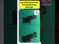 Rahul Gandhi dives to dangerous places | Andaman Nicobar Islands