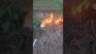 Weed Burning diy yard homestead