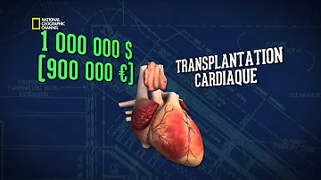 Comment se fait la transplantation d'organes ?