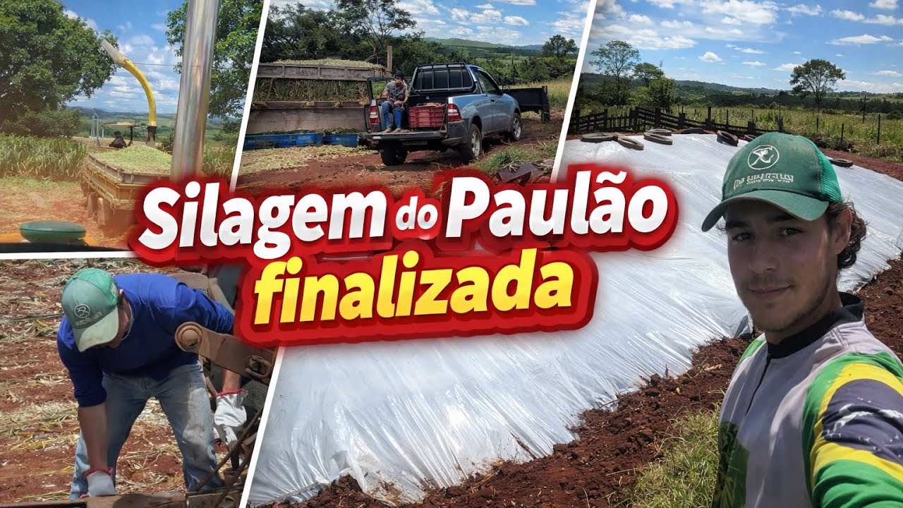 SILAGEM PAULÃO FINALIZADA 🌽🚜 | FEAT. PAULO JOSÉ RANIERI