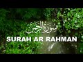 🎧Walking on rain forest with quran ar rahman surah | ar rahman لرحمان  | سورة الرحمان# Relaxing