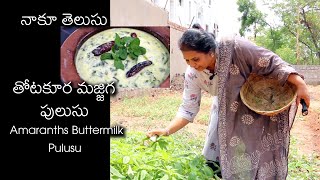 Thotakura Majjiga Pulusu / Majjiga Charu / Amaranths Buttermilk Rasam / Tasty Teluginti Vantalu