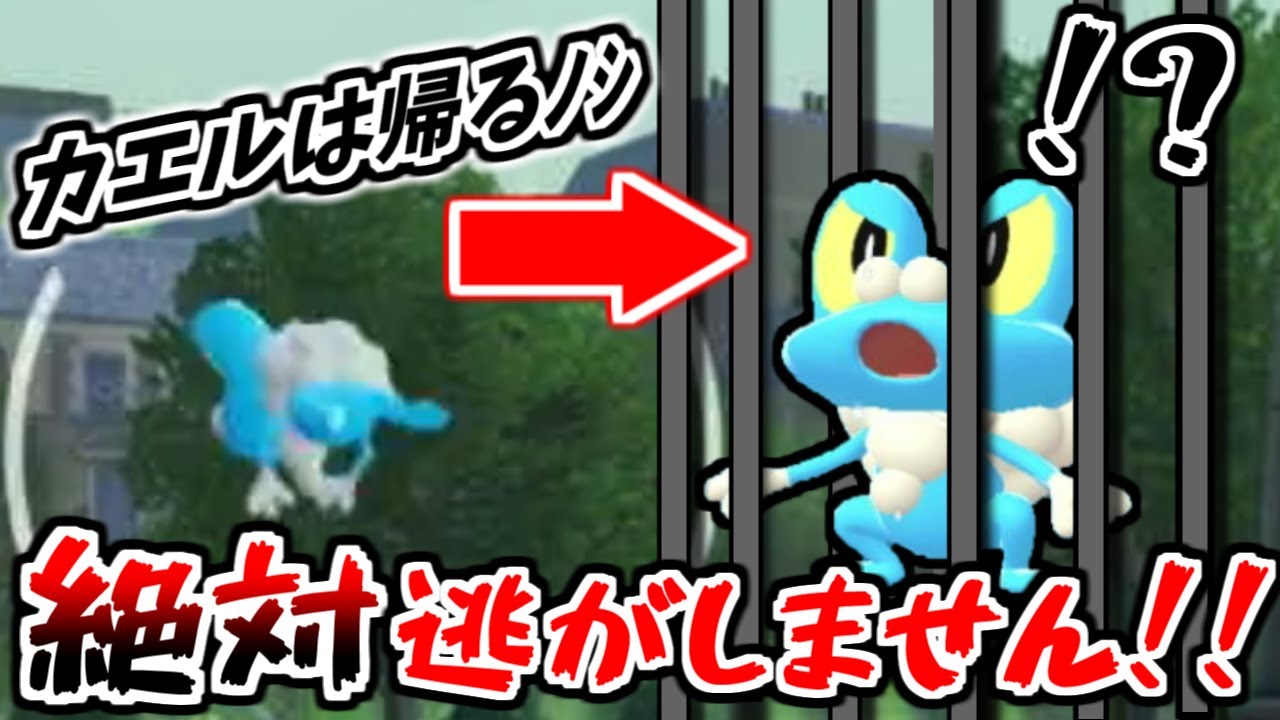 レジェンズZA】ケロマツに逃げられる方必見！この方法なら逃げられずに