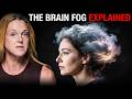 Perimenopause Brain Fog: How Estrogen and Progesterone Receptors Affect Fear, Stress, and Cognition