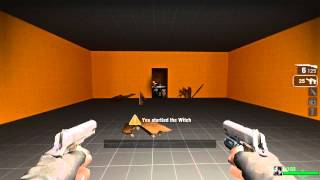 Left 4 Dead - Witch Hunter Training