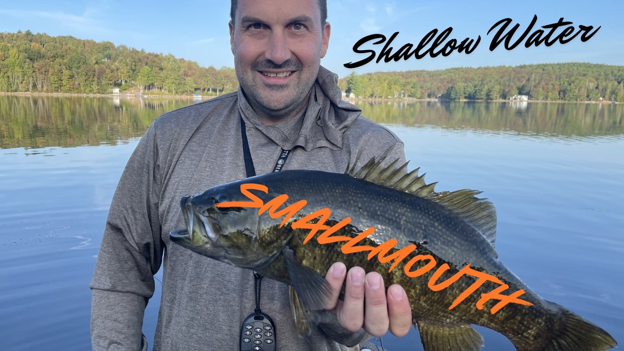 Smallmouth bass Fishing BIG ONES