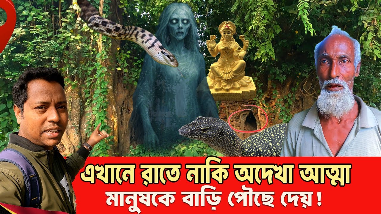 রাত নামলেই নেমে আসে অদেখা রক্ষক! মথুরাপুরের অলৌকিক গাছের রহস্য | Bogura Documentary