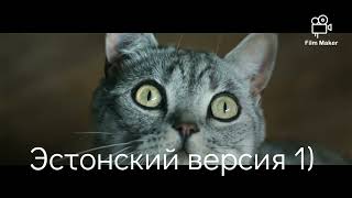 Whiskas на разных языках