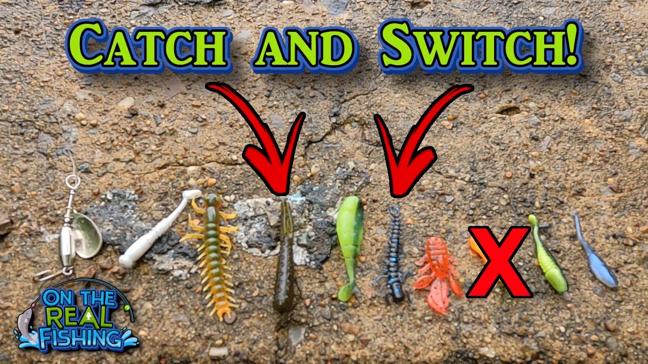 Bank Fishing: Changing Lures After Each Catch? 