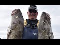 40lb  Cod in Abundance | Norway | XLyngen | Anglers World