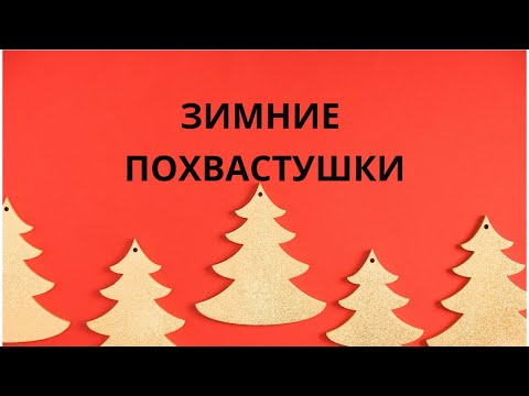 ВЫШИВКА ЗИМНИЕ ПОХВАСТУШКИ