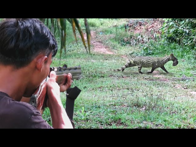 Full video : 2 days hunting wild weasel,wild bats & squirrels day and night‼️tense struggle class=