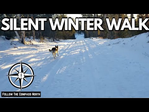 A Two Mile Winter Walk