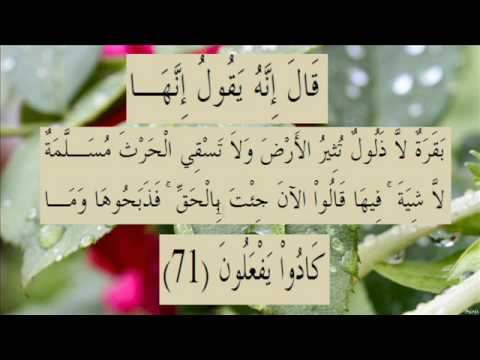 القران الكريم سورة البقرة الاية 71 