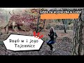 Atrakcje Turystyczne Woj. Łódzkiego  Arboretum SGGW &amp; Rogowska Kolej Dojazdowa