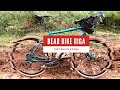Bear Bike Riga | Gravel Test Велосипеда | Шуваловский парк