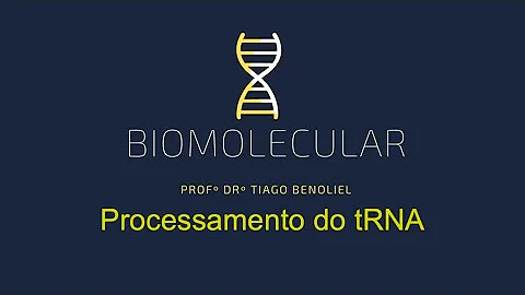 Qual é a função do RNAt?