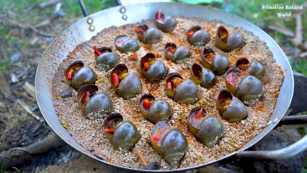 Survival Food : Cooking Snails On Sand