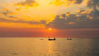 🔴 LIVE Peaceful Nature Scenery | Stress Relief Nature View 😍 #livestream #4KNature
