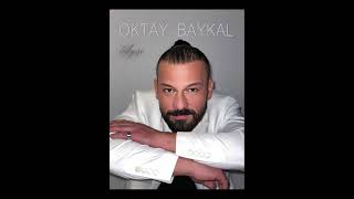 Oktay Baykal - Ayşe Resimi