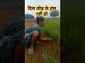 दिल तोड़ के हंस रही हो #nagpuri #song #nagpurimusic #shorts #nagpurisong #new