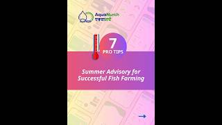 Seven Pro Tips To Keep Fish Farm Safe In Summer