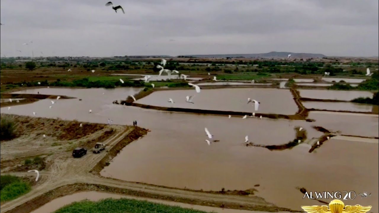 شاهدو قوت البروق من شرق و جنوب شرق القنفذه وسيل وادي يبه الجمعة 1اغسطس 2020