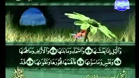 سورة الشمس كاملة الشيخ سعد الغامدي
