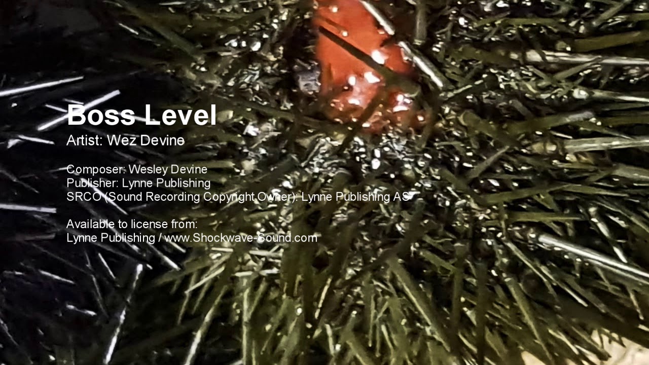Watch Boss Level - Wesley Devine (Lynne Publishing) on YouTube Watch Boss Level - Wesley Devine (Lynne Publishing) on YouTube