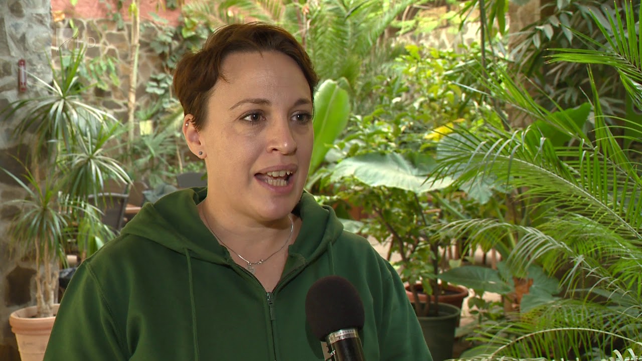 Lajhár szerelem - Kölcsey Tv