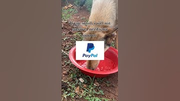 please donate through PayPal link in bio for donations. #shorts #love #care