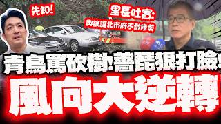 [Full Subtitles] "Did the Taipei City Government Fear Public Opinion and Refuse to Prune Trees?" ...