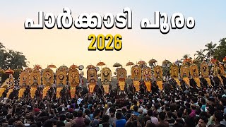 Parkkadi Pooram 2026 | ഈ നാട്ടിലെ ആഘോഷവും എണ്ണം പറഞ്ഞ ആനകളും | Famous Elephants | Kerala