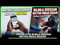 Har'a Booda Bilbila kee Hattun Hin Hattu | How to use your Identity