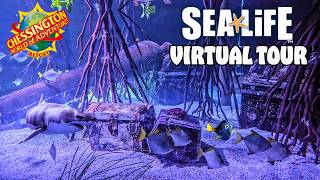 Sea Life at Chessington World of Adventures | Full Aquarium Tour (March 2026) [4K]