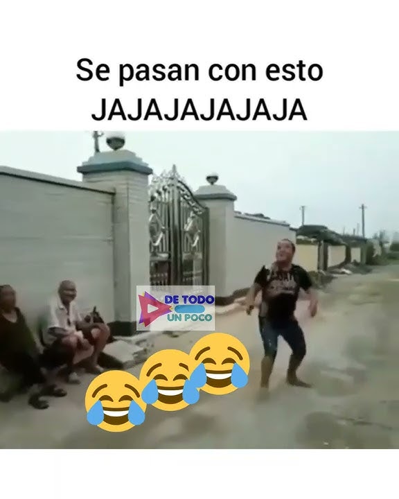 videos cortos para whatsapp - vídeos de risa - vídeos graciosos