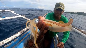 Một Ngày Đi Câu Mực Của Ngư Dân Philippines  | Sói Ngốc Review