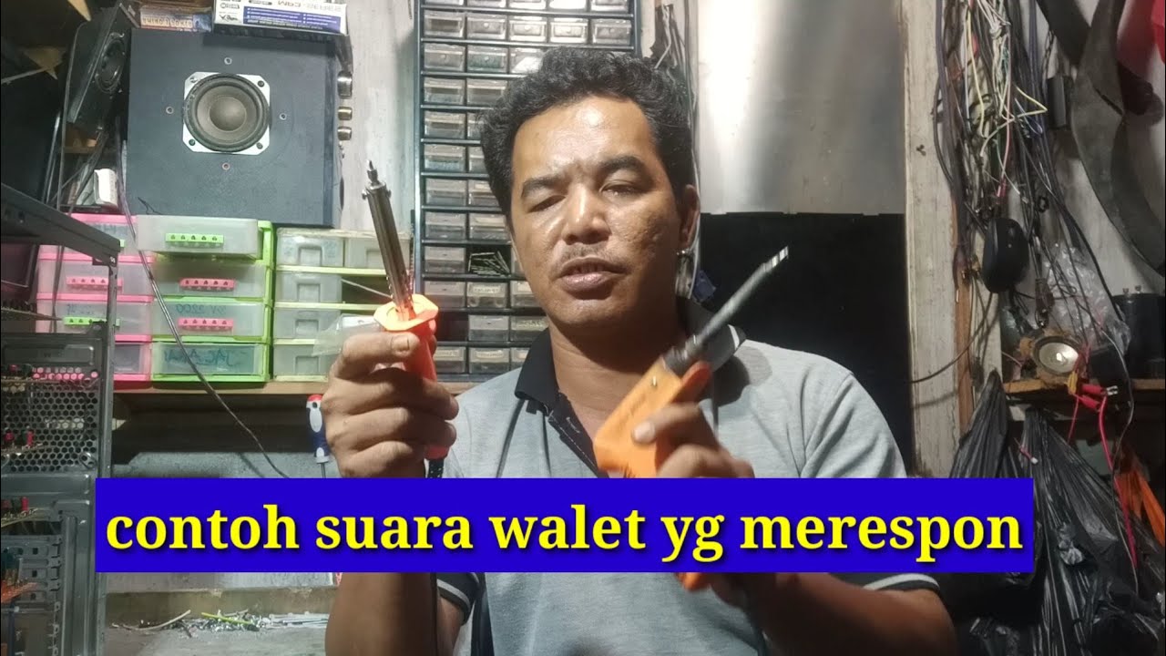 cara menilai ampli walet yg  paling bagus  YouTube