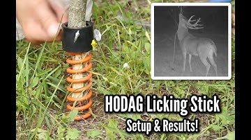 HODAG Licking Stick: 2021 Setup and Results!
