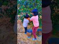 Viral Kidz play with fruits #shorts #trending